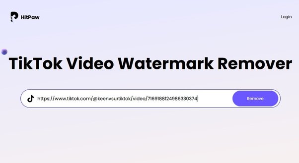 Legal implications of removing TikTok watermark without permission Full HD
