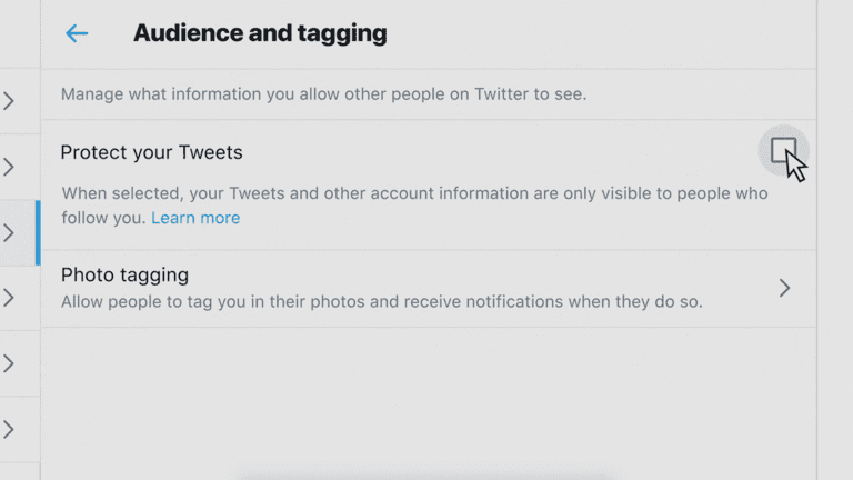 Mastering Twitter Privacy Control Who Views Your Public Tweets